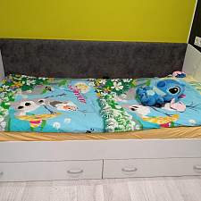 Кровать Уника-П BMS