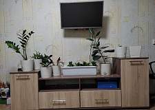 Тумба под ТВ Парус-2 BMS