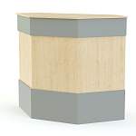 Ресепшен Рейна №3 BMS - Фото 5