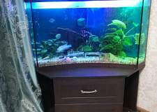 Тумба угловая Арамис 2 BMS