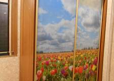 Шкаф-купе Сфера 16015 BMS