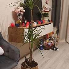 Тумба под ТВ подвесная Вакс 1 BMS