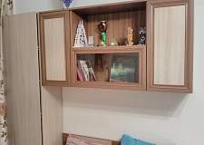 Пенал Вербена BMS