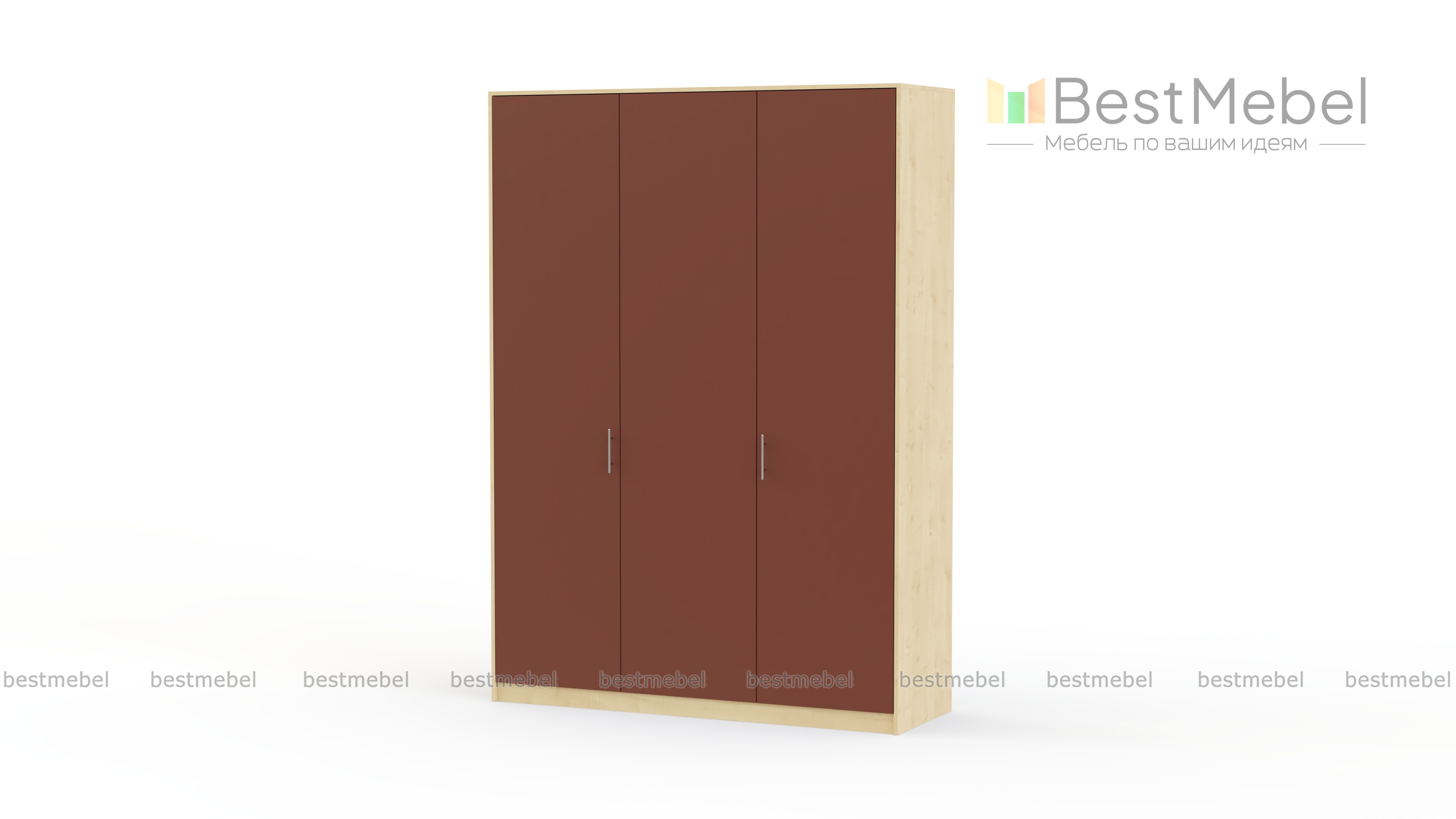 Распашной шкаф Толедо BMS